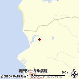 徳島県鳴門市瀬戸町堂浦（阿波井）周辺の地図