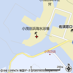 長崎県対馬市厳原町小茂田777周辺の地図