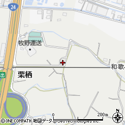 和歌山県和歌山市栗栖1172周辺の地図