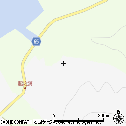 広島県豊田郡大崎上島町中野926周辺の地図