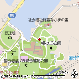 国分寺橘ノ丘総合運動公園周辺の地図
