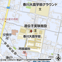 香川大学　同窓会池戸会周辺の地図