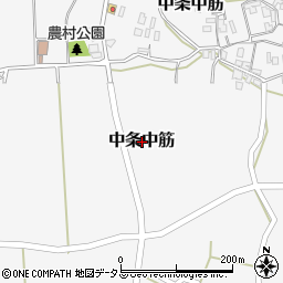 兵庫県南あわじ市中条中筋周辺の地図