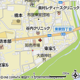 橋本簡易裁判所周辺の地図