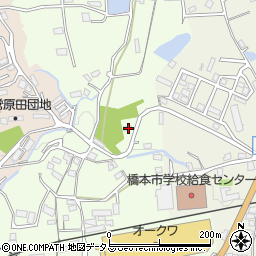 和歌山県橋本市妻203周辺の地図