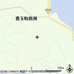 長崎県対馬市豊玉町唐洲137周辺の地図