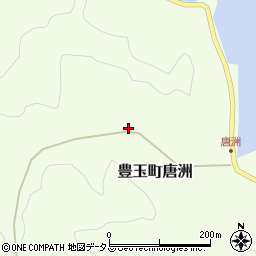 長崎県対馬市豊玉町唐洲90周辺の地図