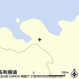 長崎県対馬市豊玉町横浦219周辺の地図