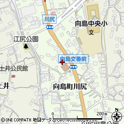 広島県尾道市向島町5930周辺の地図