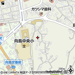 広島県尾道市向島町5392周辺の地図