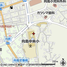 広島県尾道市向島町富浜5406周辺の地図