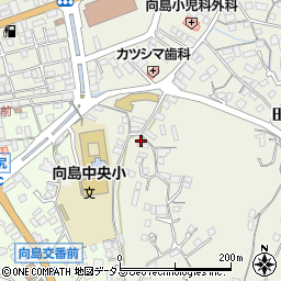 広島県尾道市向島町5393周辺の地図