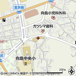 広島県尾道市向島町富浜5208周辺の地図
