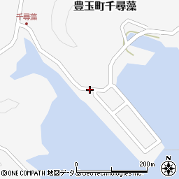 長崎県対馬市豊玉町千尋藻239周辺の地図