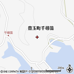 長崎県対馬市豊玉町千尋藻251周辺の地図