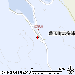 長崎県対馬市豊玉町志多浦146周辺の地図