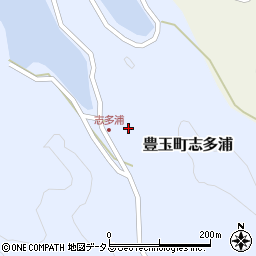 長崎県対馬市豊玉町志多浦243周辺の地図