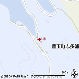長崎県対馬市豊玉町志多浦143周辺の地図
