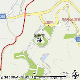 国泰寺周辺の地図