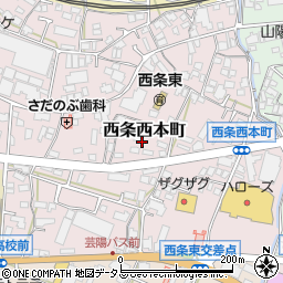 広島県東広島市西条西本町24周辺の地図