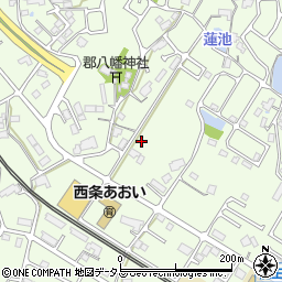 有限会社政屋周辺の地図