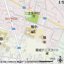 岸和田市立　旭幼稚園周辺の地図