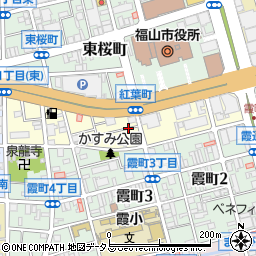 広島県福山市紅葉町周辺の地図