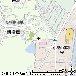 岡山県笠岡市横島195周辺の地図