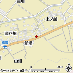愛知県田原市亀山町瀬戸畑44周辺の地図