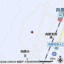 広島県安芸高田市向原町坂142周辺の地図