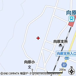 広島県安芸高田市向原町坂142周辺の地図