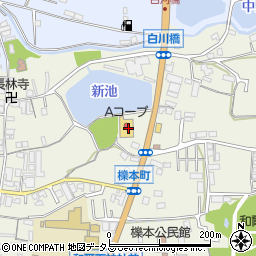 奈良県天理市櫟本町2260周辺の地図
