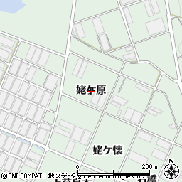 愛知県田原市赤羽根町姥ケ原周辺の地図