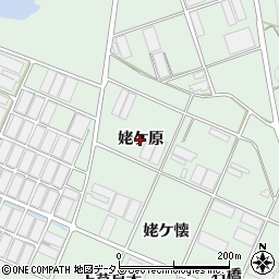愛知県田原市赤羽根町（姥ケ原）周辺の地図