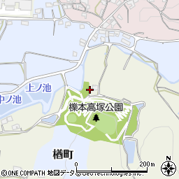 奈良県天理市櫟本町2543周辺の地図