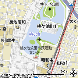 大阪府大阪市阿倍野区桃ケ池町周辺の地図