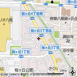 カメラのキタムラ　八尾店周辺の地図