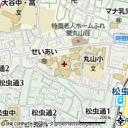 大阪キリスト教短期大学周辺の地図