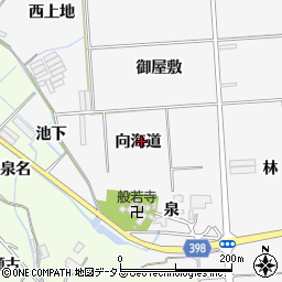 愛知県田原市伊川津町向海道周辺の地図