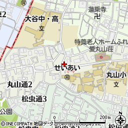 〒545-0042 大阪府大阪市阿倍野区丸山通の地図