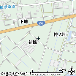 愛知県田原市大久保町新採周辺の地図