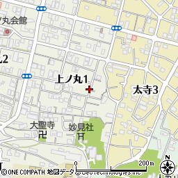 〒673-0846 兵庫県明石市上ノ丸の地図