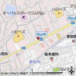 円山薬品周辺の地図