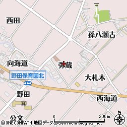 愛知県田原市野田町弥蔵周辺の地図