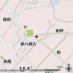 愛知県田原市野田町（柏坪）周辺の地図