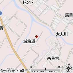愛知県田原市野田町城海道周辺の地図