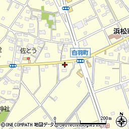 静岡県浜松市中央区白羽町800周辺の地図