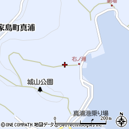 兵庫県姫路市家島町真浦209周辺の地図