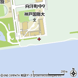 神戸シーバス周辺の地図