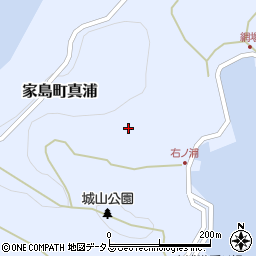 兵庫県姫路市家島町真浦317周辺の地図
